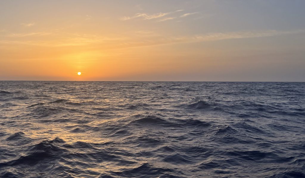 Forventning kontra virkelighed